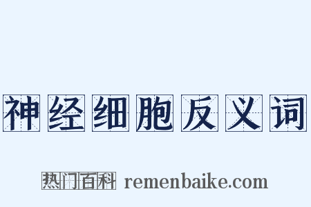 神经细胞反义词是什么意思的图片